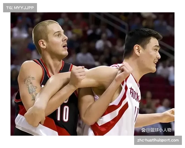 山猫改名黄蜂启示录 大黄蜂的原名及其背后故事揭秘